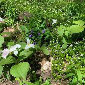 Meet your Posher, Cathy